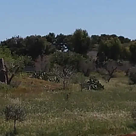 Aurora סנטה מריה אל בניו